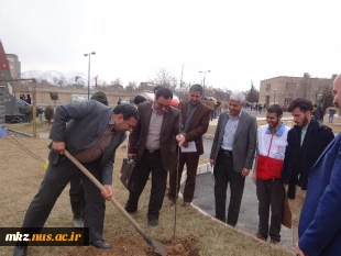 درختکاری در محوطه دانشکده به مناسب روز درختکاری 10