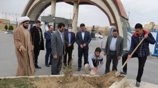 کاشت نهال های مثمر در دانشگاه فنی و حرفه ای امیرکبیر 2