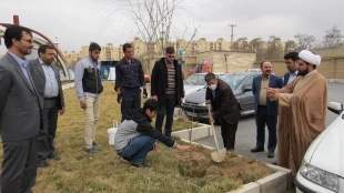 کاشت نهال های مثمر در دانشگاه فنی و حرفه ای امیرکبیر 6