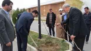 کاشت نهال های مثمر در دانشگاه فنی و حرفه ای امیرکبیر 11