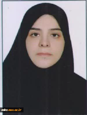 معرفی کارشناس حراست 2