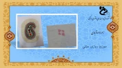 Slide12