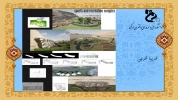 Slide9