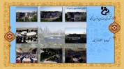 Slide19