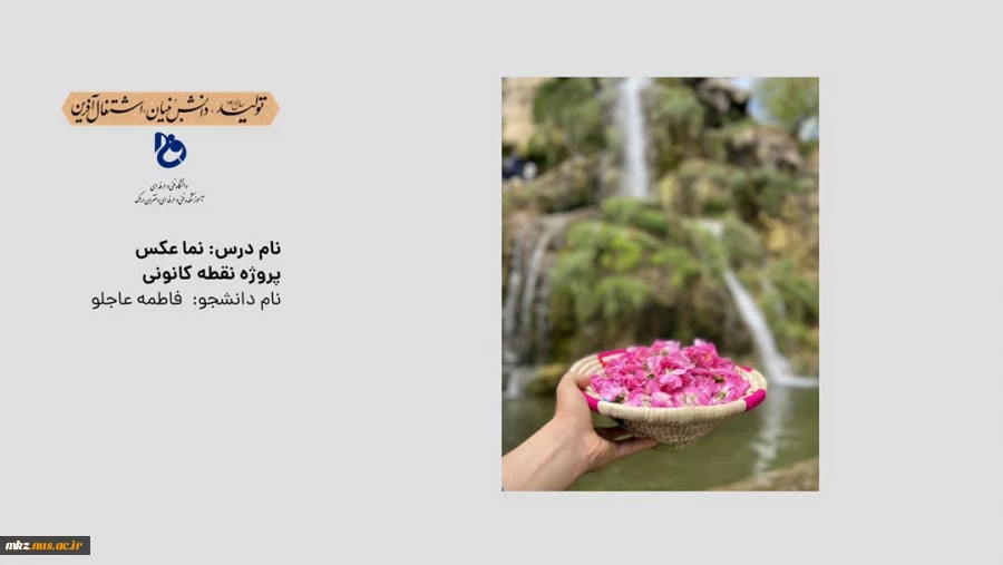 نما عکس